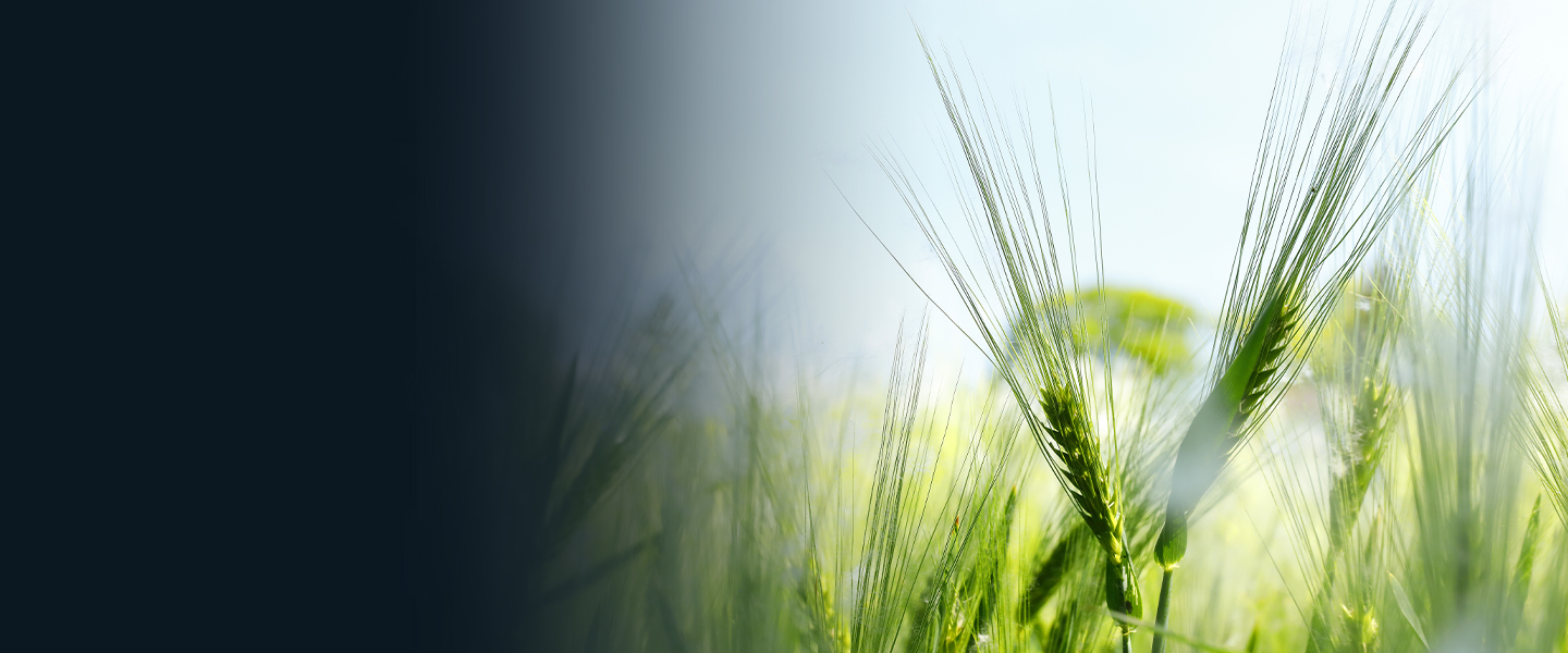 Header Background Description